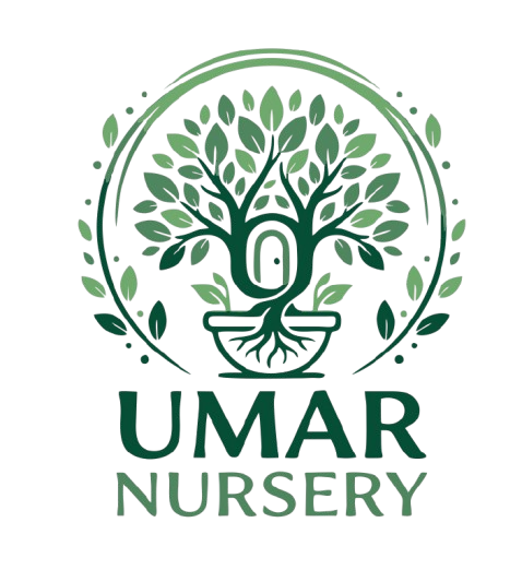umar nursery logo 1 page 0001 removebg preview